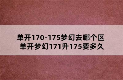 单开170-175梦幻去哪个区 单开梦幻171升175要多久